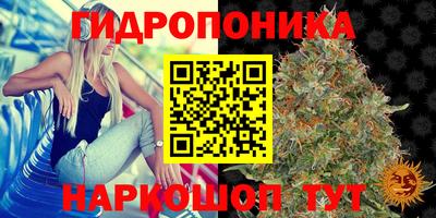 стафф Краснознаменск