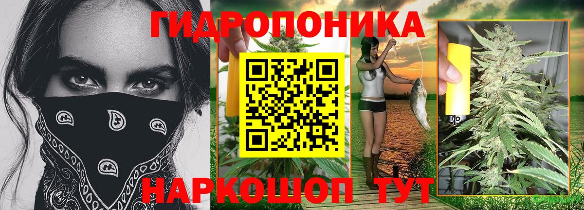 Заволжье  Каннабис конопля  Вход с VPN  МАРИХУАНА LSD WEED  Конопля MAZAR 